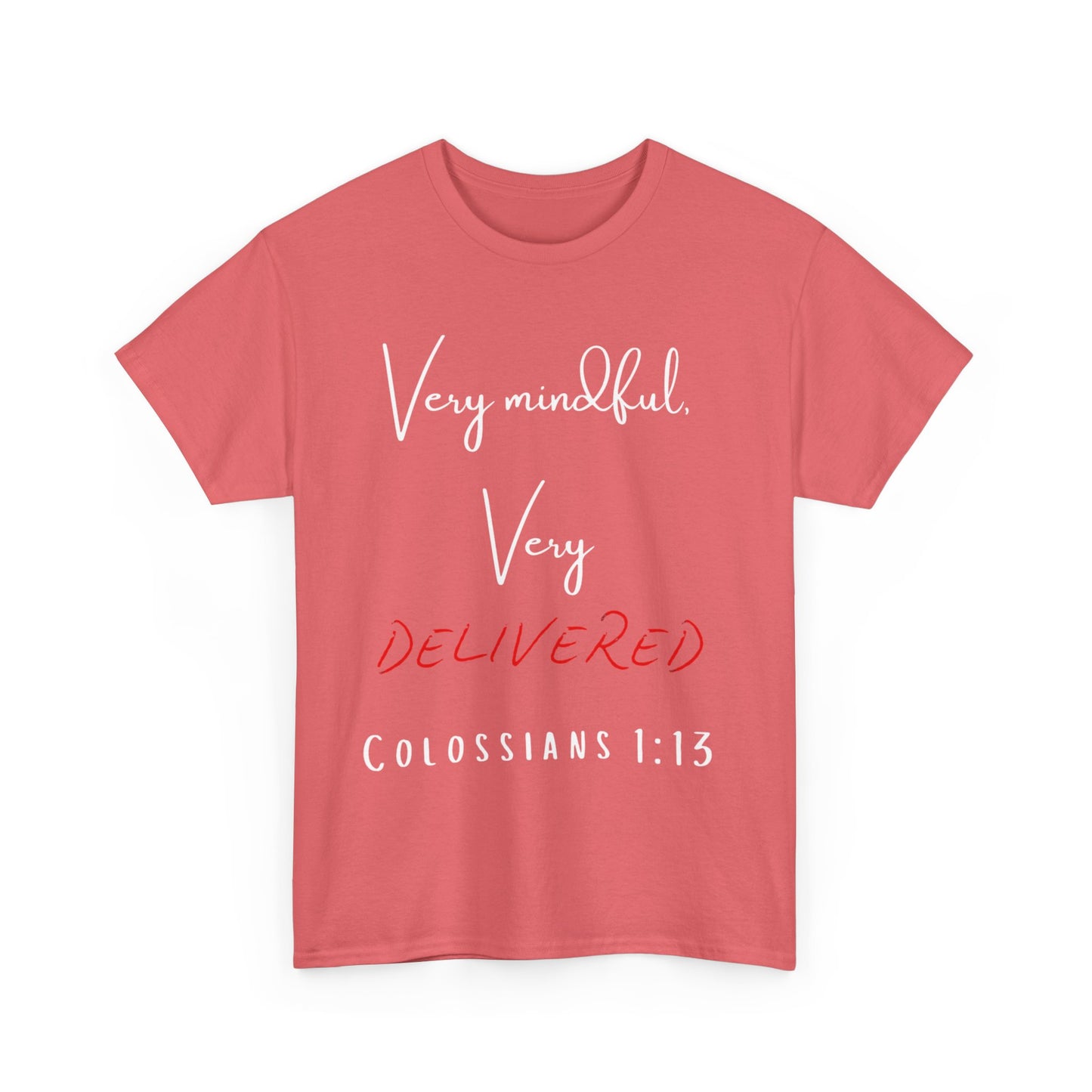 “Very Mindful, Very Delivered” T-Shirt