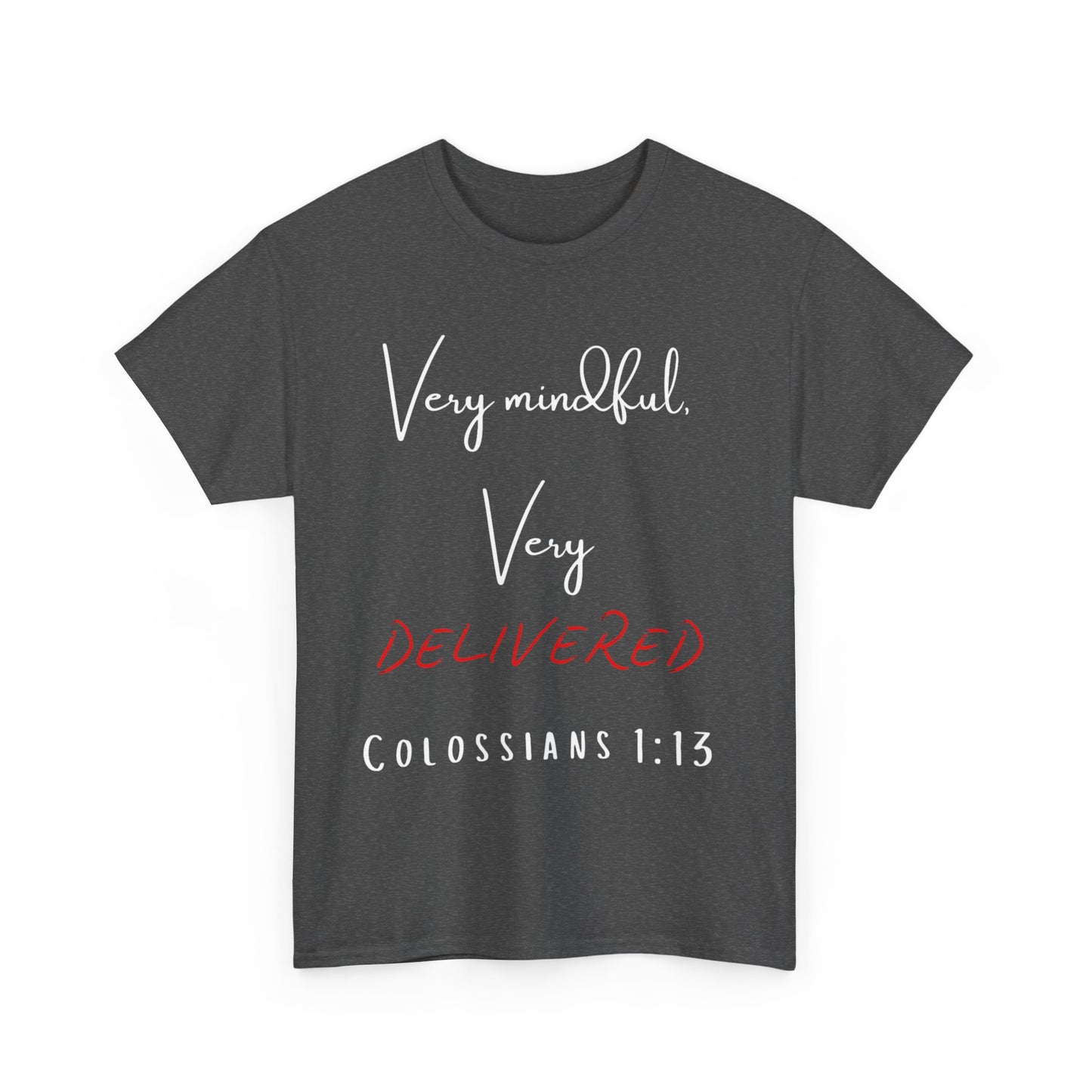 “Very Mindful, Very Delivered” T-Shirt