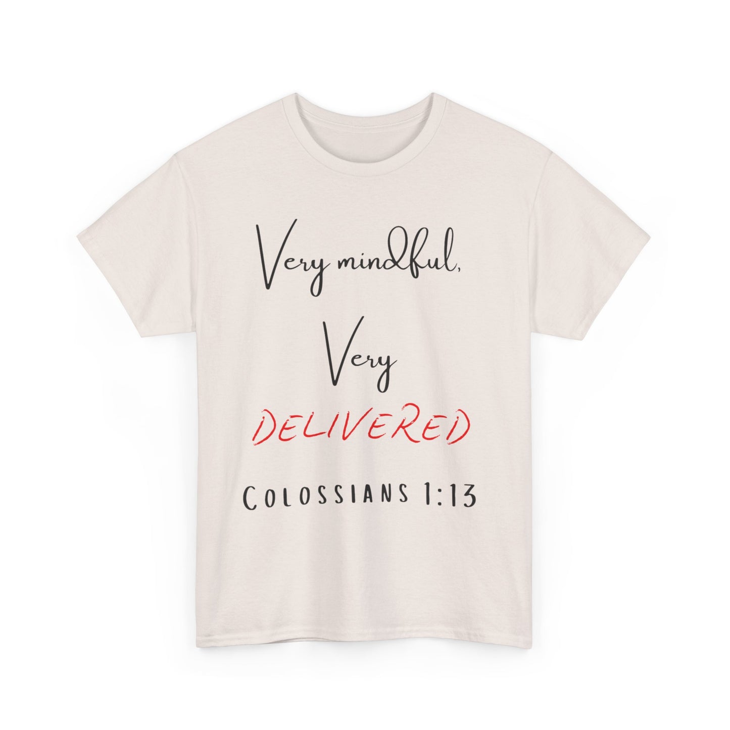 “Very Mindful, Very Delivered” T-Shirt