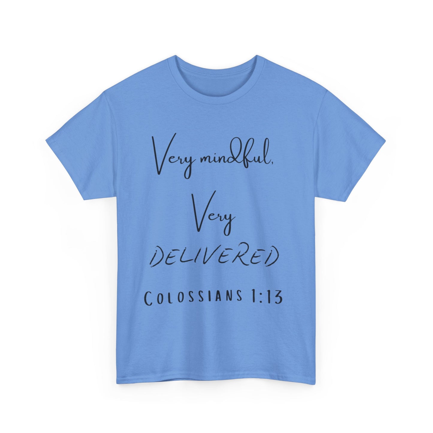 “Very Mindful, Very Delivered” T-Shirt