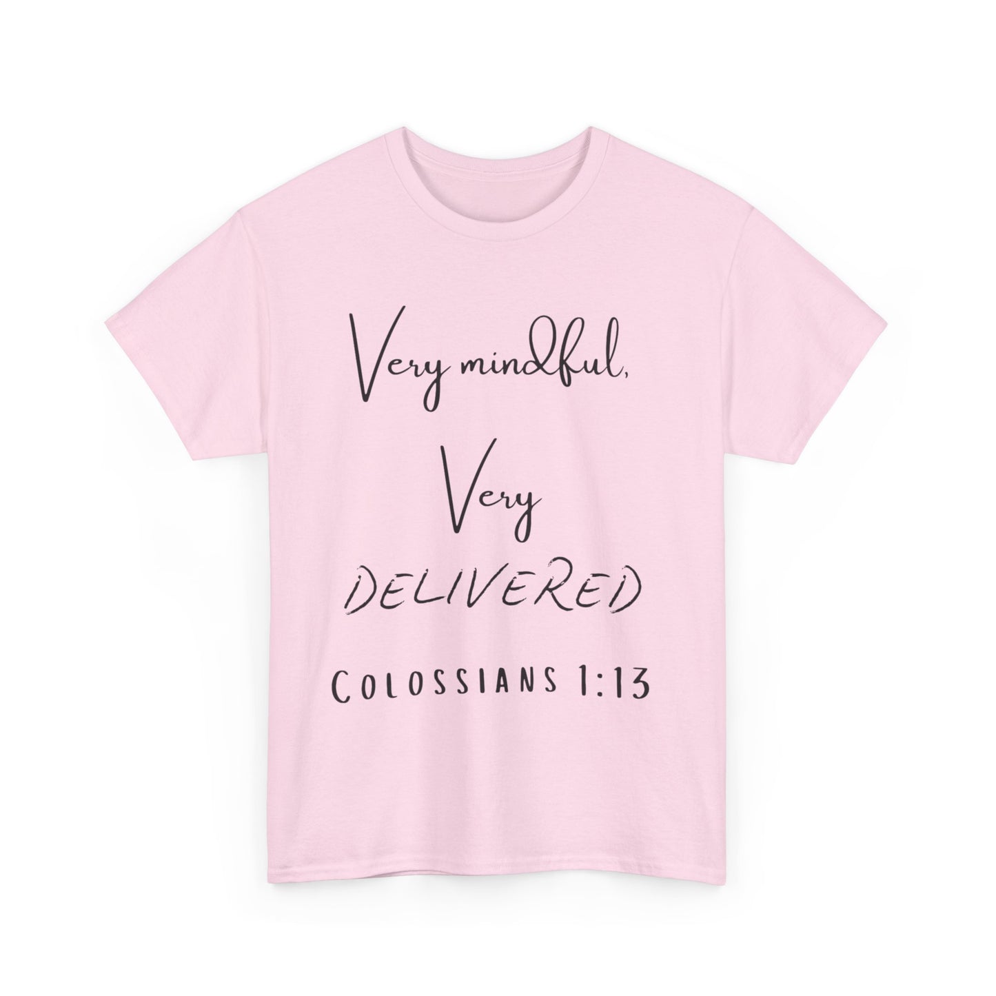 “Very Mindful, Very Delivered” T-Shirt