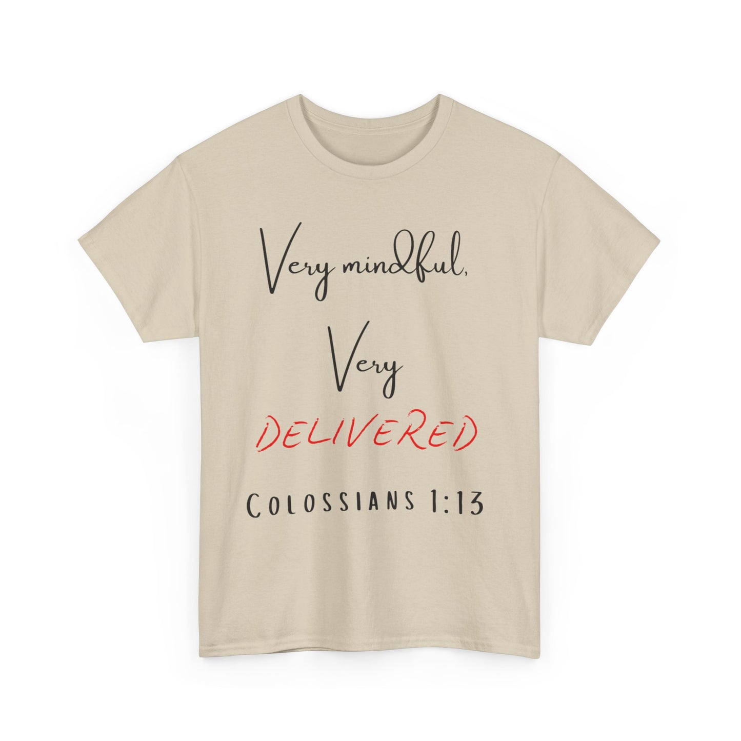 “Very Mindful, Very Delivered” T-Shirt