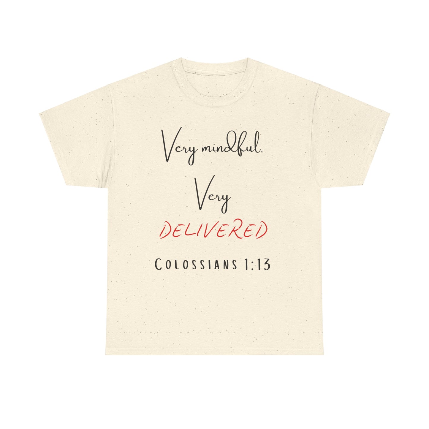 “Very Mindful, Very Delivered” T-Shirt