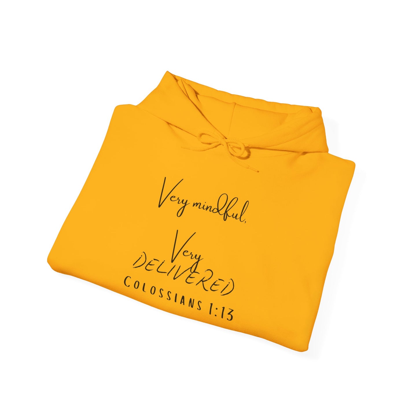 "Very Mindful, Very Delivered" Hoodie