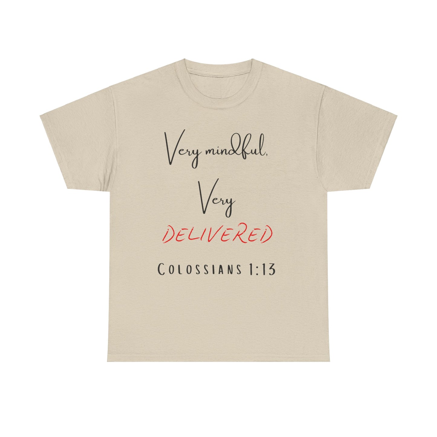 “Very Mindful, Very Delivered” T-Shirt