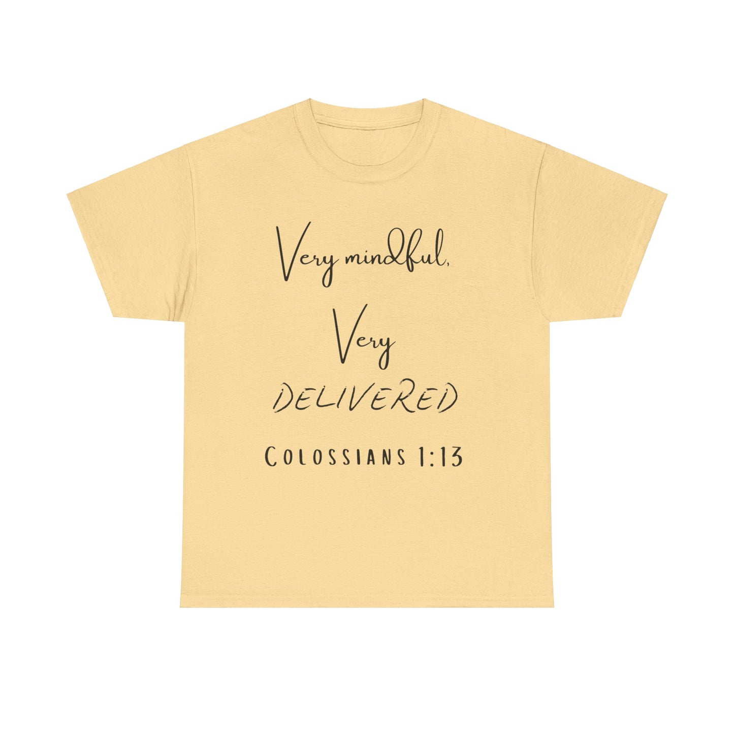 “Very Mindful, Very Delivered” T-Shirt