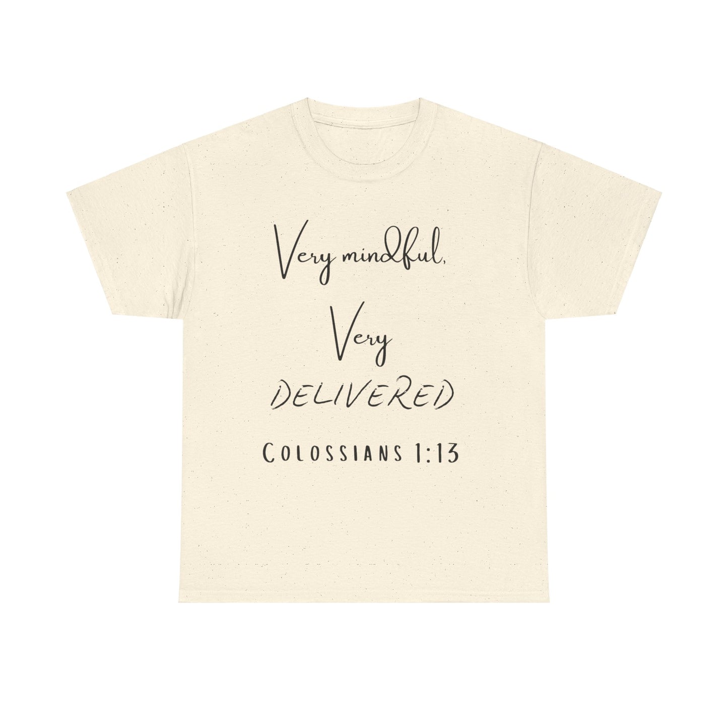 “Very Mindful, Very Delivered” T-Shirt