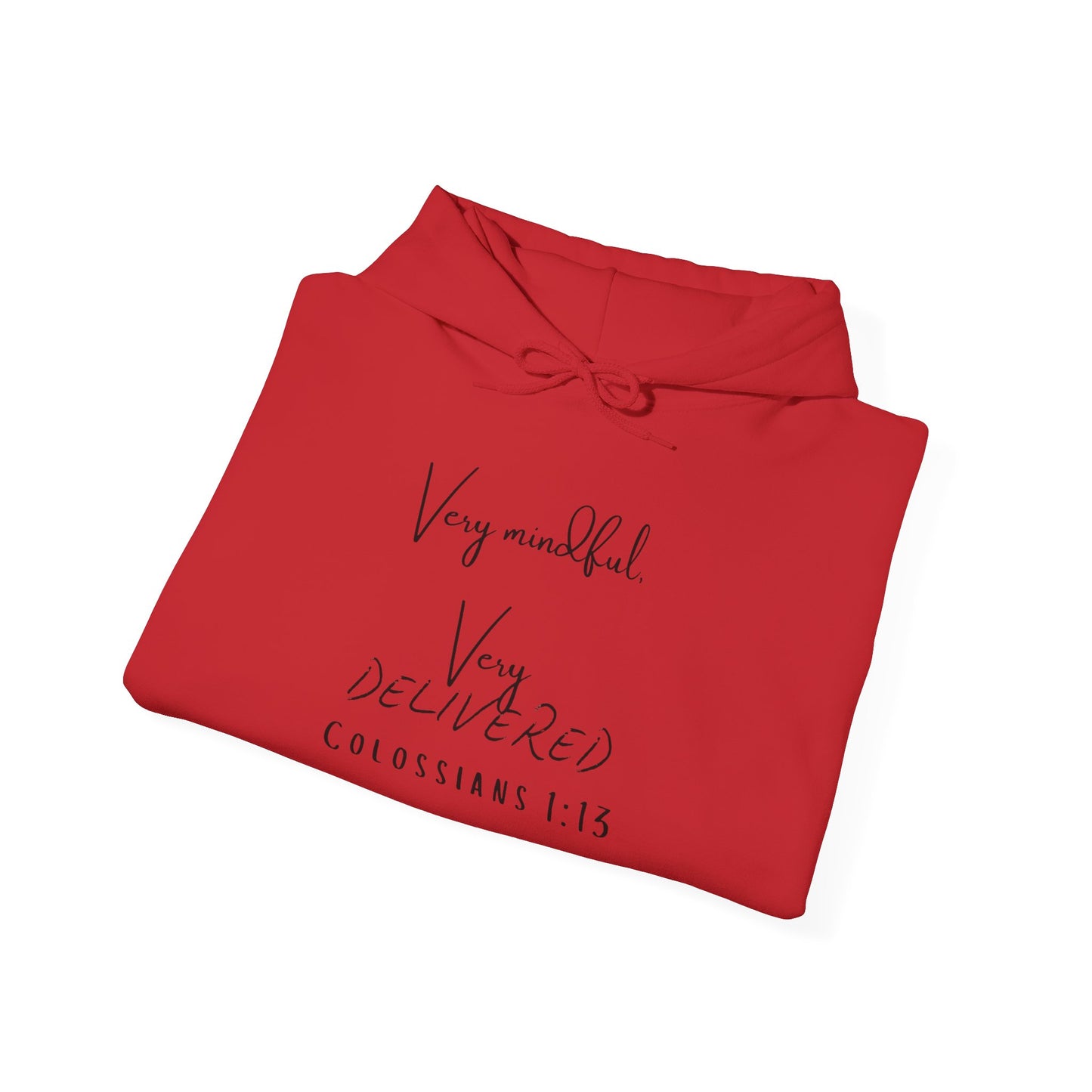 "Very Mindful, Very Delivered" Hoodie