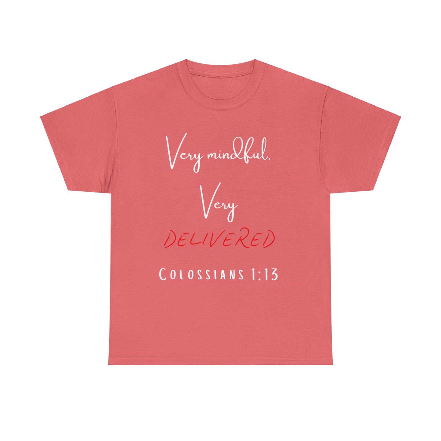 “Very Mindful, Very Delivered” T-Shirt