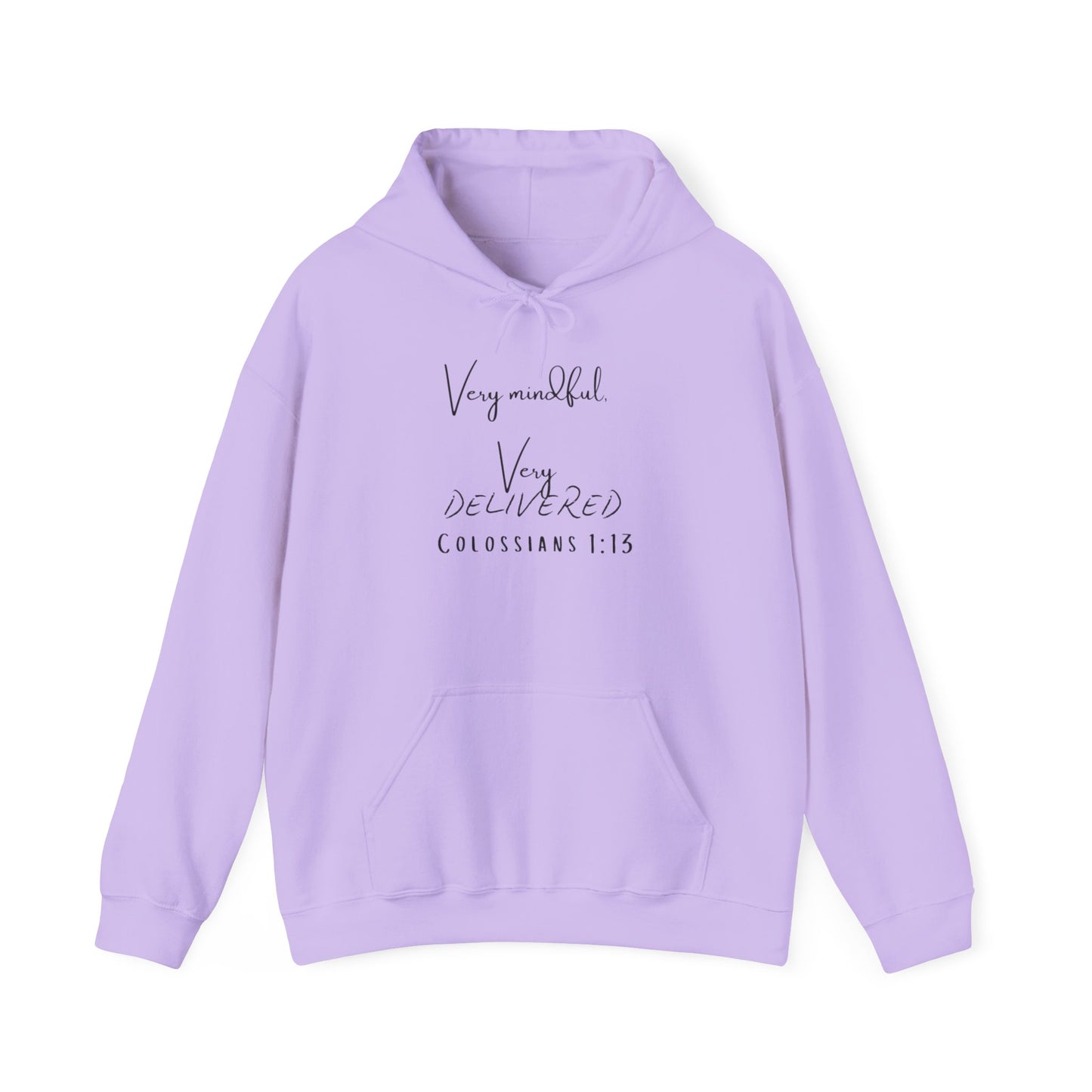 "Very Mindful, Very Delivered" Hoodie