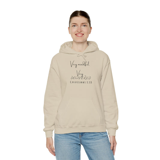 "Very Mindful, Very Delivered" Hoodie