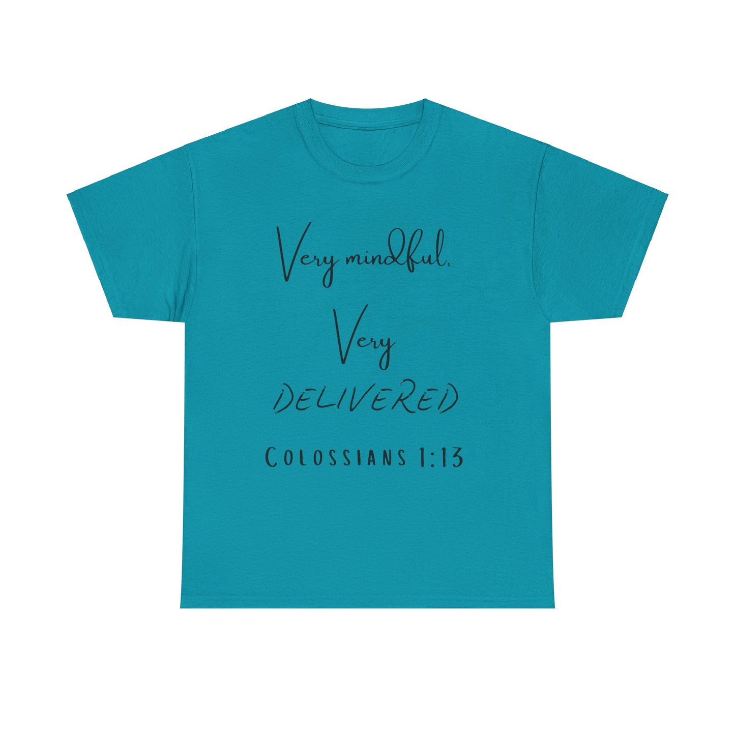 “Very Mindful, Very Delivered” T-Shirt