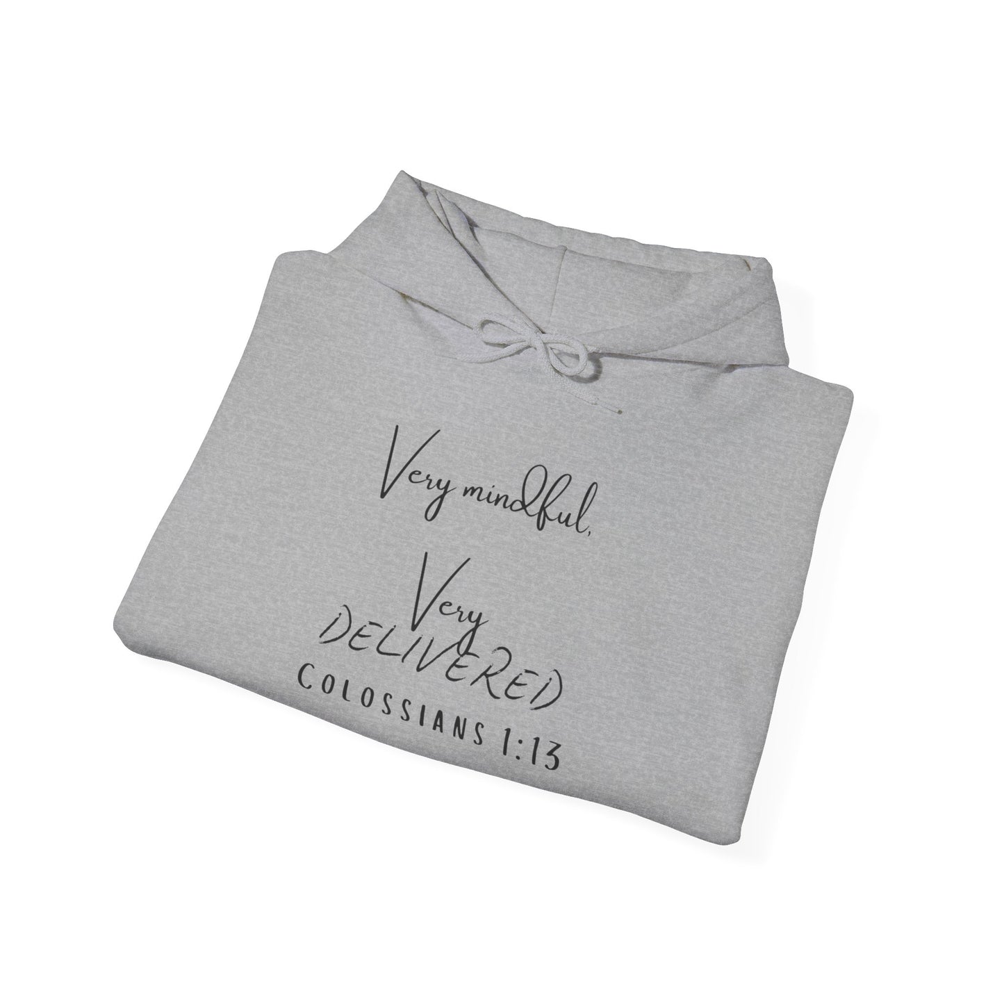 "Very Mindful, Very Delivered" Hoodie