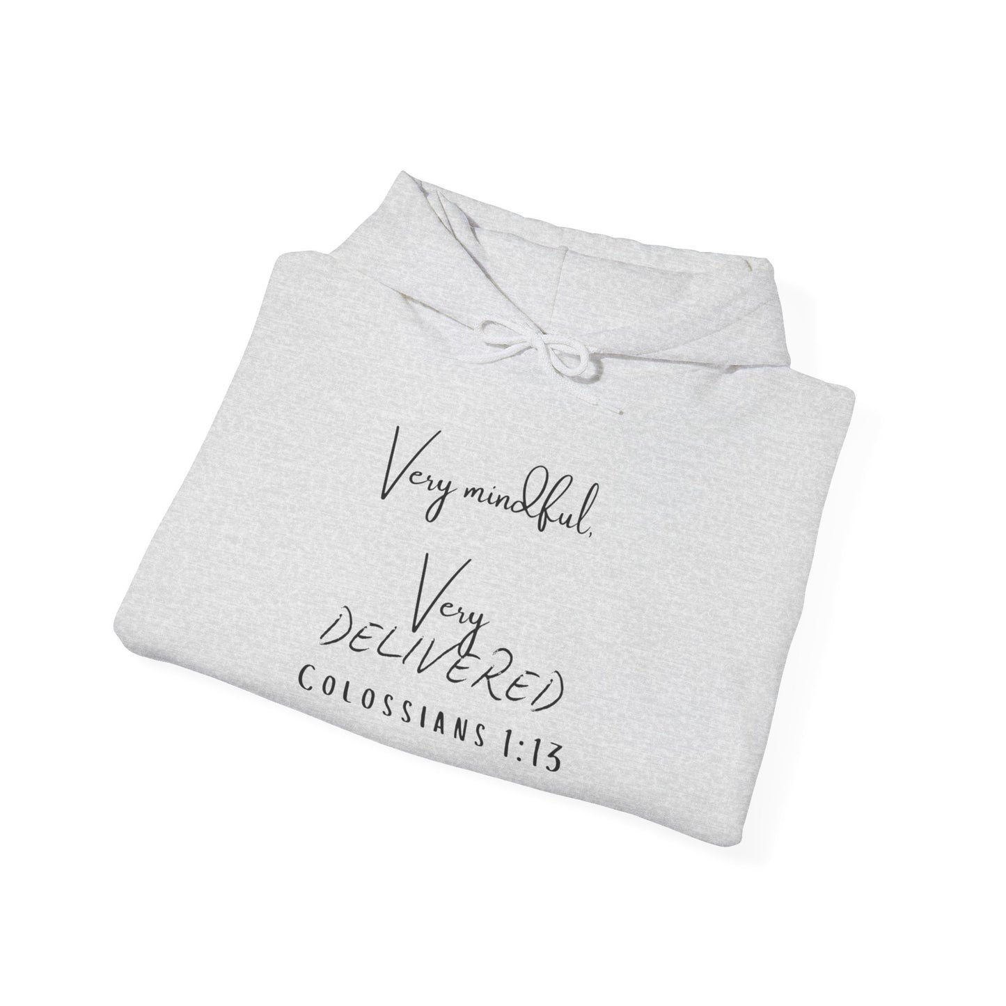 "Very Mindful, Very Delivered" Hoodie