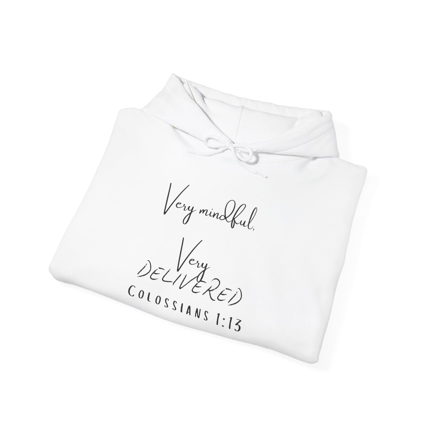 "Very Mindful, Very Delivered" Hoodie