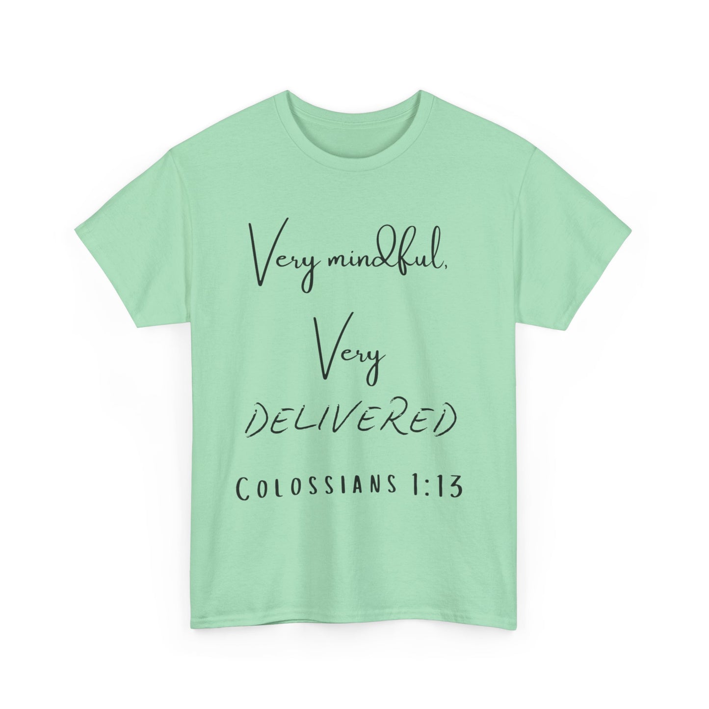 “Very Mindful, Very Delivered” T-Shirt