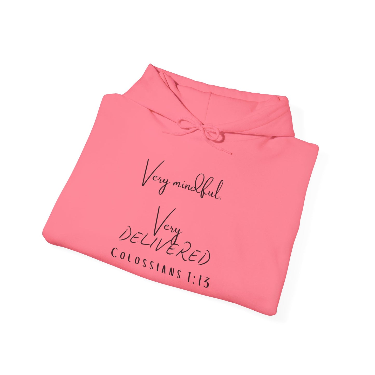 "Very Mindful, Very Delivered" Hoodie