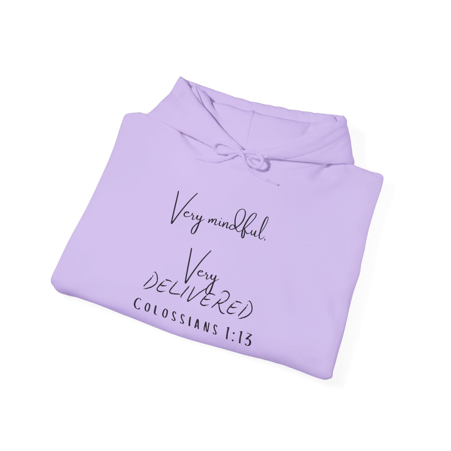 "Very Mindful, Very Delivered" Hoodie