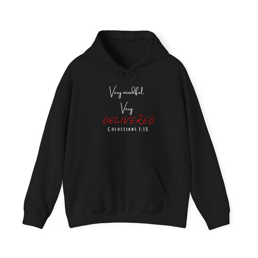 "Very Mindful, Very Delivered" Hoodie