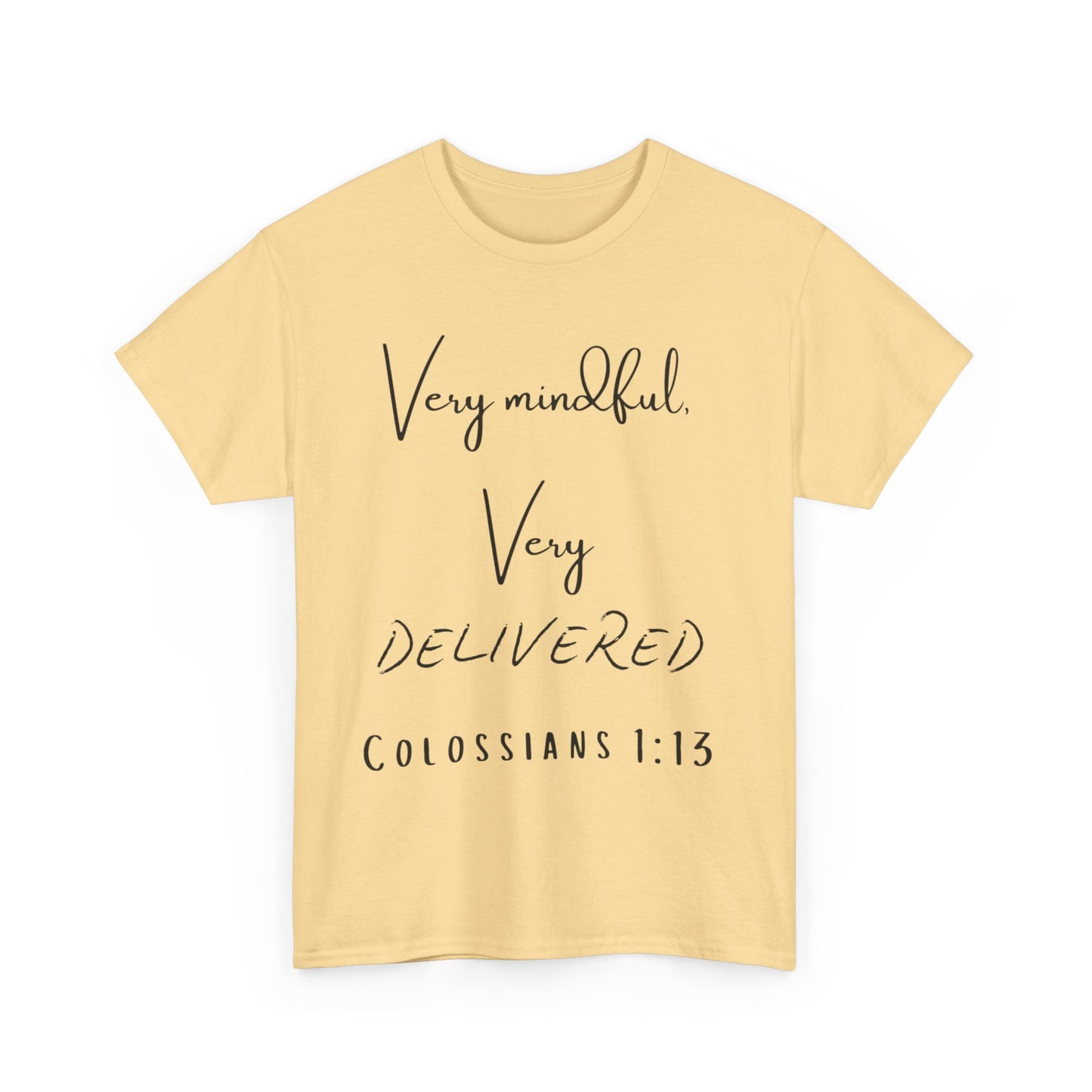 “Very Mindful, Very Delivered” T-Shirt