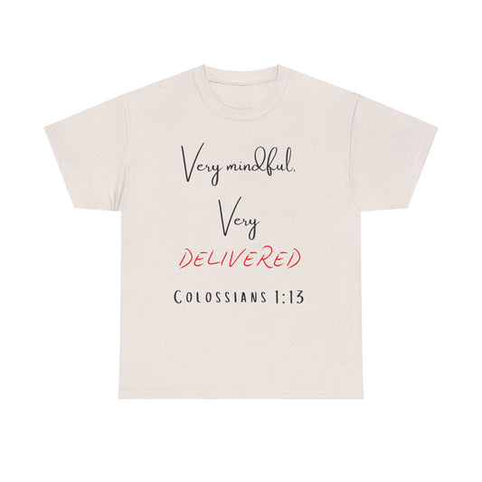 “Very Mindful, Very Delivered” T-Shirt