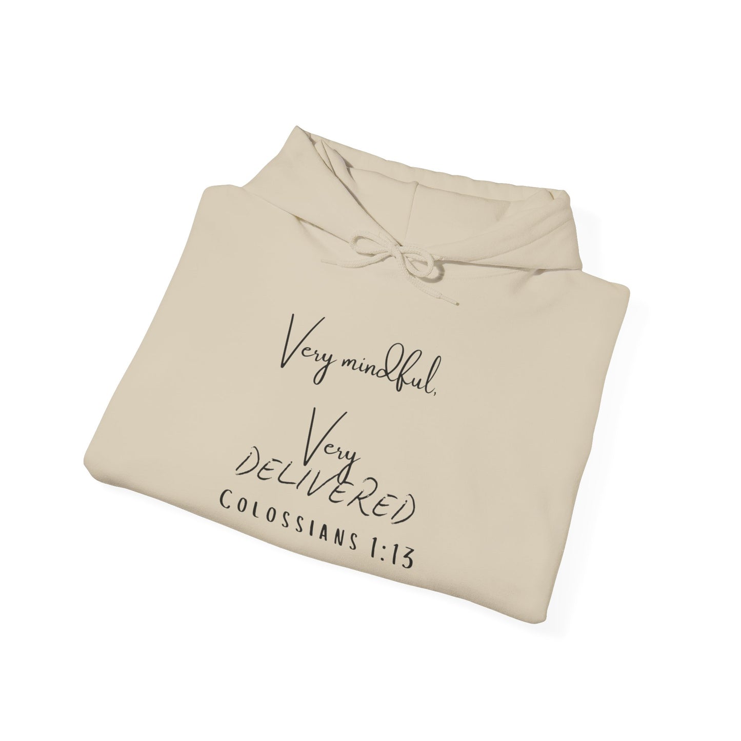 "Very Mindful, Very Delivered" Hoodie