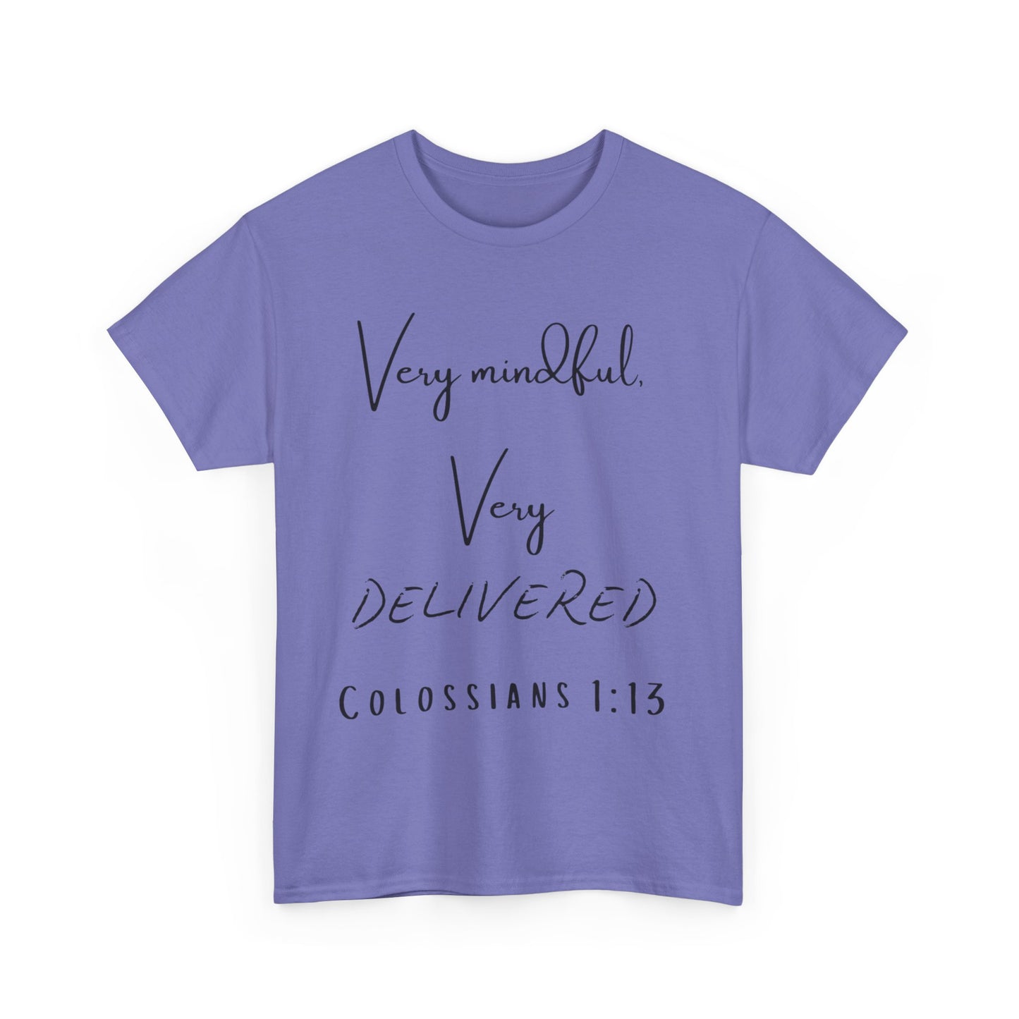 “Very Mindful, Very Delivered” T-Shirt