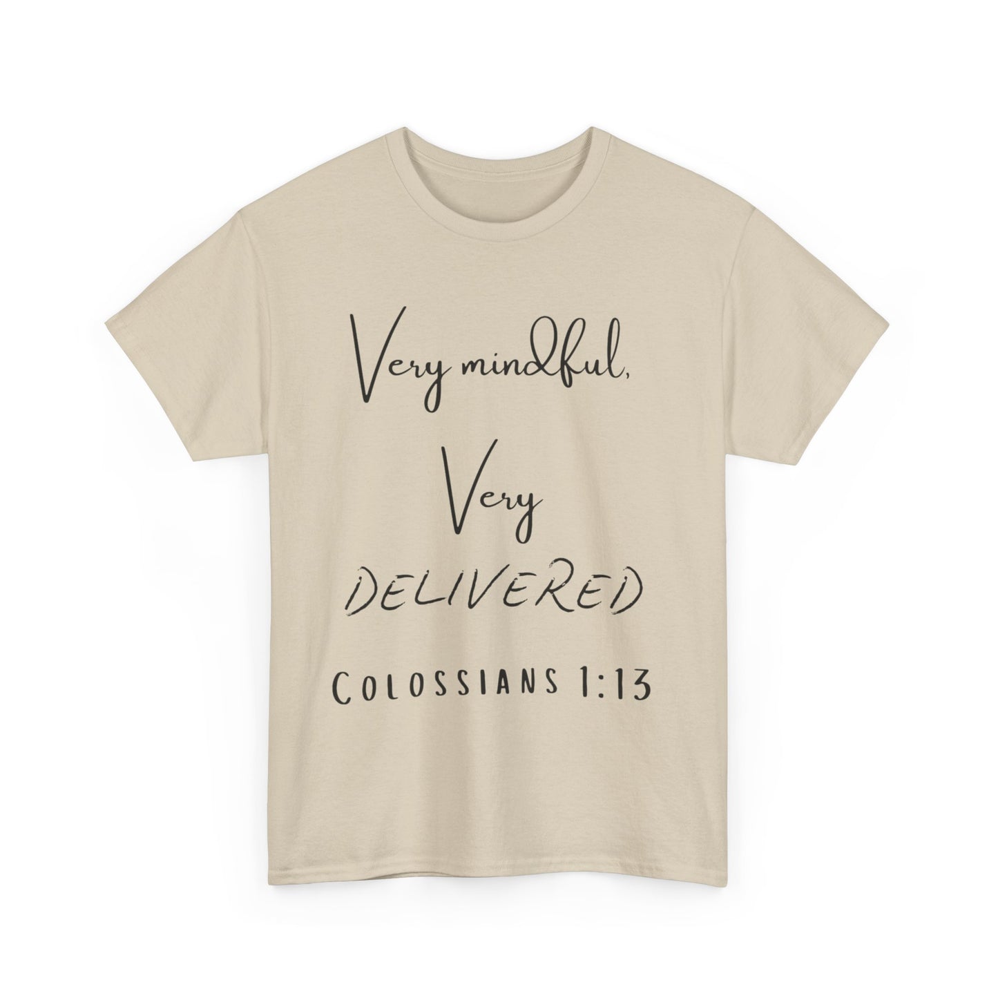 “Very Mindful, Very Delivered” T-Shirt