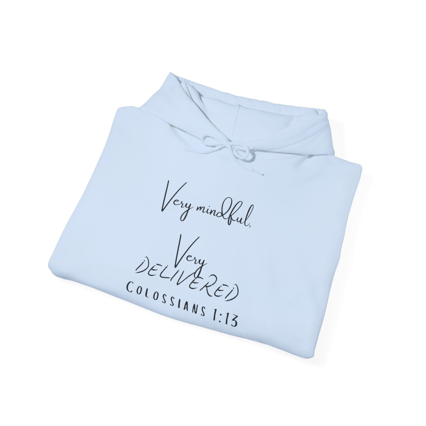 "Very Mindful, Very Delivered" Hoodie