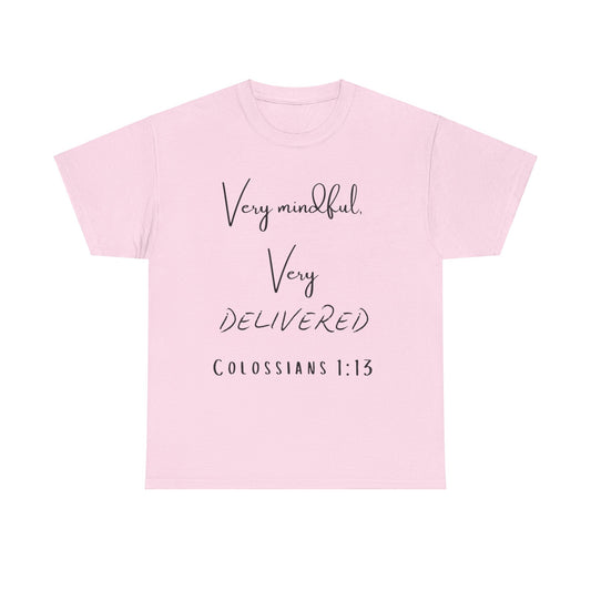 “Very Mindful, Very Delivered” T-Shirt